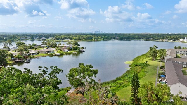 7304 Lakeside Blvd, Tampa, FL 33614 - water view