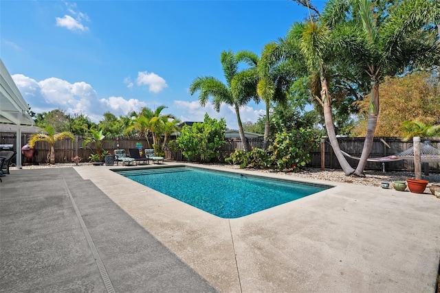 7304 Lakeside Blvd, Tampa, FL 33614 - view of swimming pool featuring a patio area and a fenced backyard
