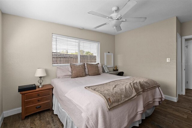 7304 Lakeside Blvd, Tampa, FL 33614 - bedroom with wood finished floors, baseboards, and a ceiling fan