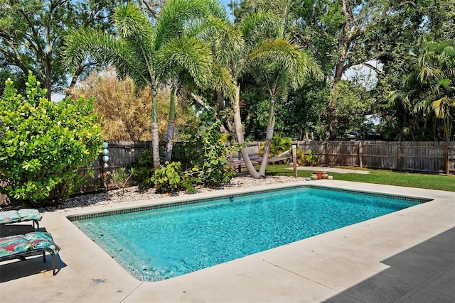 7304 Lakeside Blvd, Tampa, FL 33614 - view of pool featuring a fenced backyard and a patio