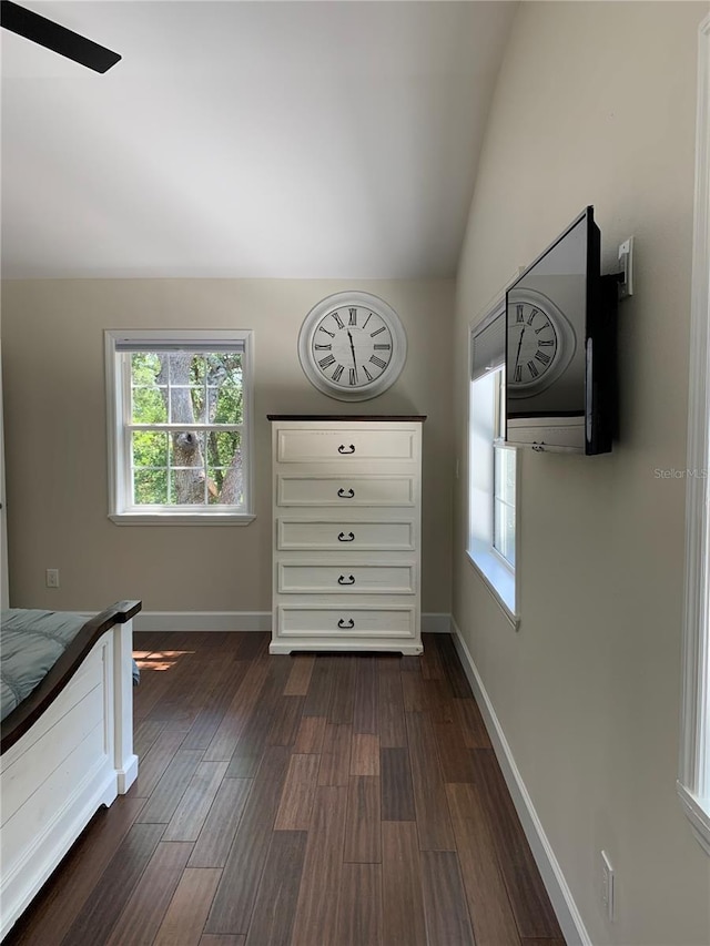 7152 Sandy Ln, Wesley Chapel, FL 33544 - bedroom featuring lofted ceiling, dark wood-style floors, and baseboards