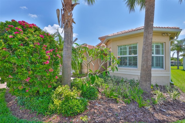 16227 Cape Coral Dr, Wimauma, FL 33598 - photo 5