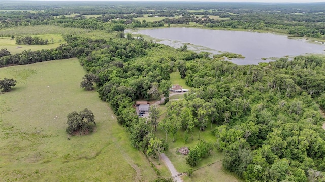 1611 County Road 753s, Webster, FL 33597 - view of property location featuring a large body of water and a forest