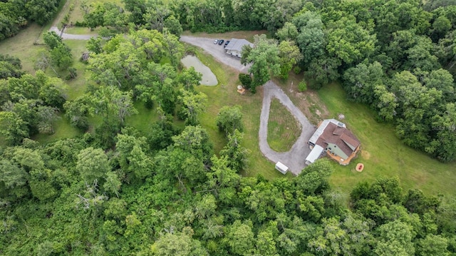 1611 County Road 753s, Webster, FL 33597 - aerial view of property and surrounding area
