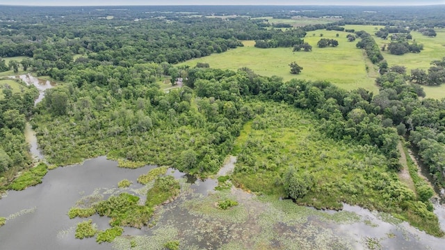 1611 County Road 753s, Webster, FL 33597 - drone / aerial view of a nearby body of water and a forest
