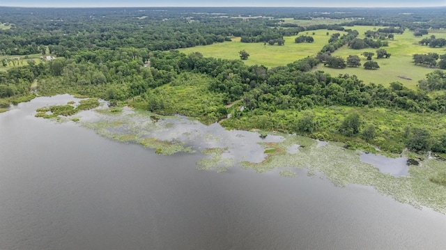1611 County Road 753s, Webster, FL 33597 - bird's eye view of a nearby body of water and a heavily wooded area