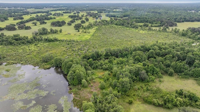 1611 County Road 753s, Webster, FL 33597 - drone / aerial view of a large body of water and a forest