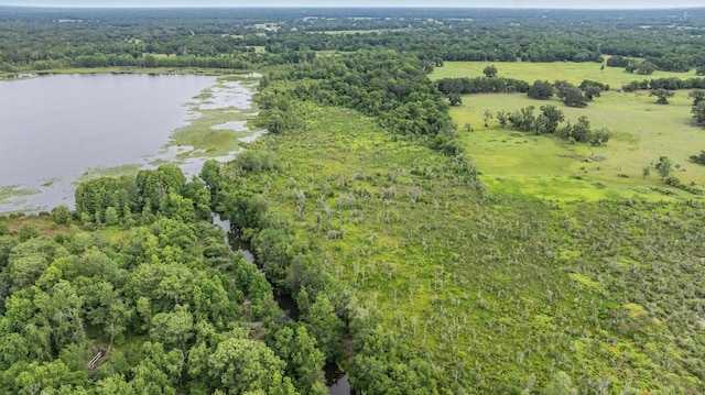 1611 County Road 753s, Webster, FL 33597 - bird's eye view of a forest and a nearby body of water