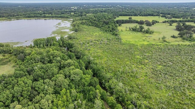 1611 County Road 753s, Webster, FL 33597 - view of property location featuring a large body of water and a forest