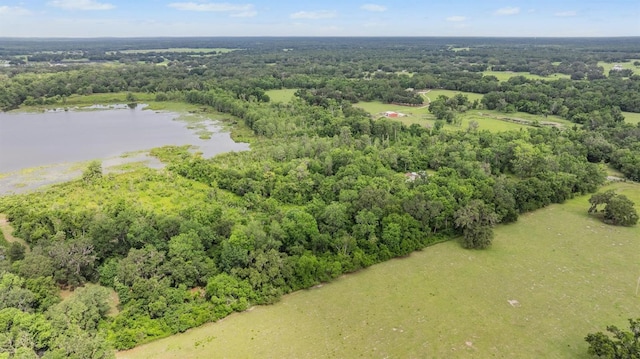 1611 County Road 753s, Webster, FL 33597 - bird's eye view of a nearby body of water and a forest