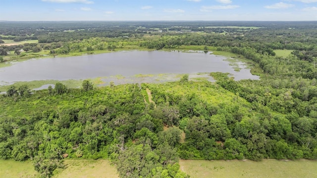 1611 County Road 753s, Webster, FL 33597 - bird's eye view of a forest and a large body of water