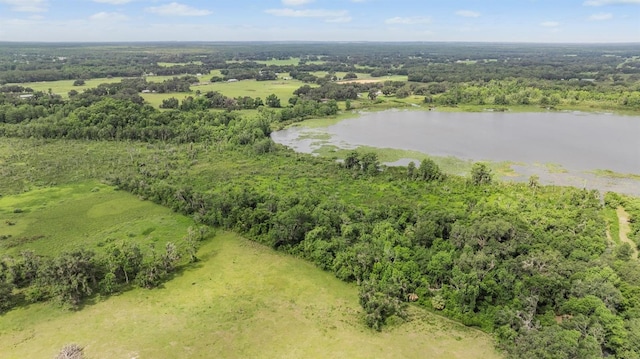 1611 County Road 753s, Webster, FL 33597 - drone / aerial view of a large body of water and a heavily wooded area