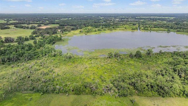 1611 County Road 753s, Webster, FL 33597 - aerial overview of property's location featuring a nearby body of water and a forest