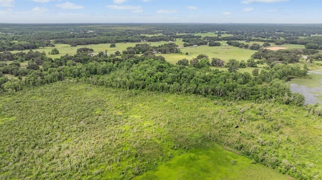 1611 County Road 753s, Webster, FL 33597 - aerial view