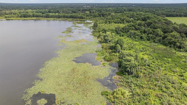 1611 County Road 753s, Webster, FL 33597 - aerial view of a forest and a nearby body of water