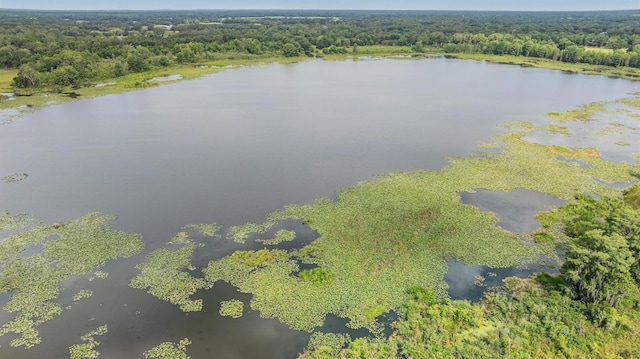 1611 County Road 753s, Webster, FL 33597 - bird's eye view of a forest and a nearby body of water