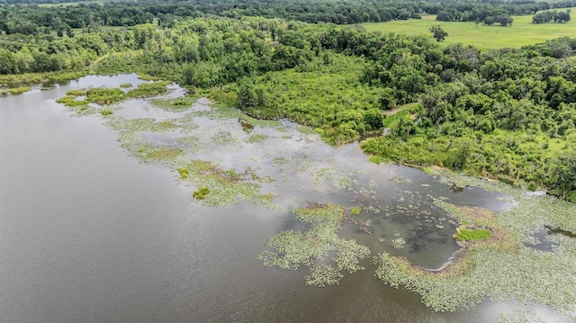 1611 County Road 753s, Webster, FL 33597 - drone / aerial view of a heavily wooded area and a large body of water