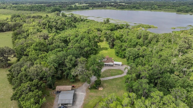 1611 County Road 753s, Webster, FL 33597 - aerial view of a heavily wooded area and a nearby body of water