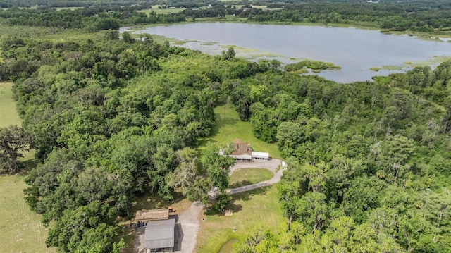 1611 County Road 753s, Webster, FL 33597 - aerial view of a forest and a large body of water