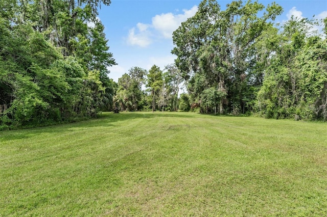 1611 County Road 753s, Webster, FL 33597 - view of grassy yard