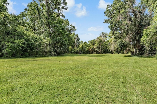 1611 County Road 753s, Webster, FL 33597 - view of grassy yard