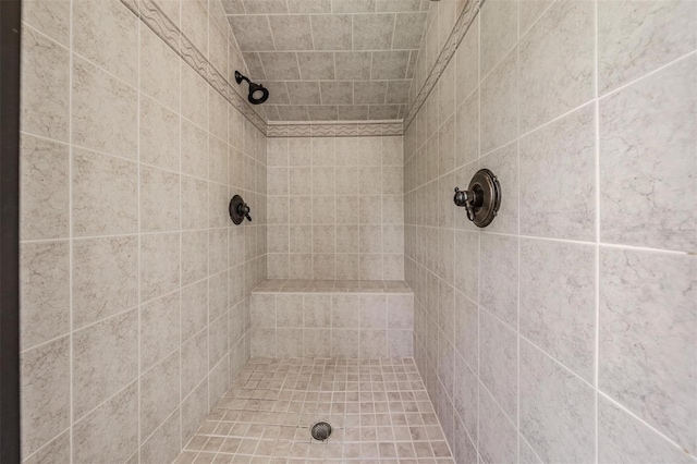 1611 County Road 753s, Webster, FL 33597 - bathroom with a tile shower