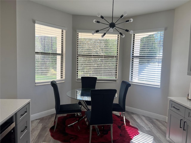 10826 Rain Lilly Pass, Land O Lakes, FL 34638 - photo 15