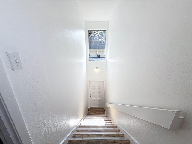 507 E Curlew Pl, Tarpon Springs, FL 34689 - stairway featuring wood finished floors and baseboards