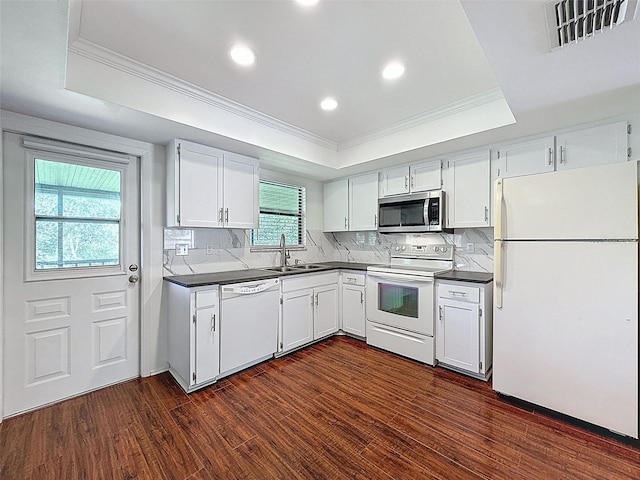 507 E Curlew Pl, Tarpon Springs, FL 34689 - kitchen with white appliances, a tray ceiling, dark countertops, ornamental molding, and a sink