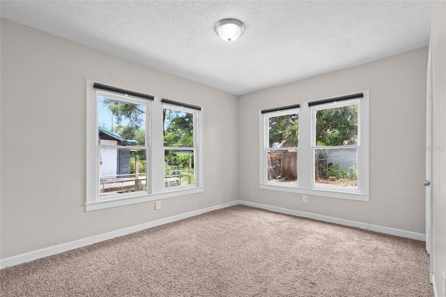 6489 30th St N, Saint Petersburg, FL 33702 - spare room with carpet floors, baseboards, and a textured ceiling