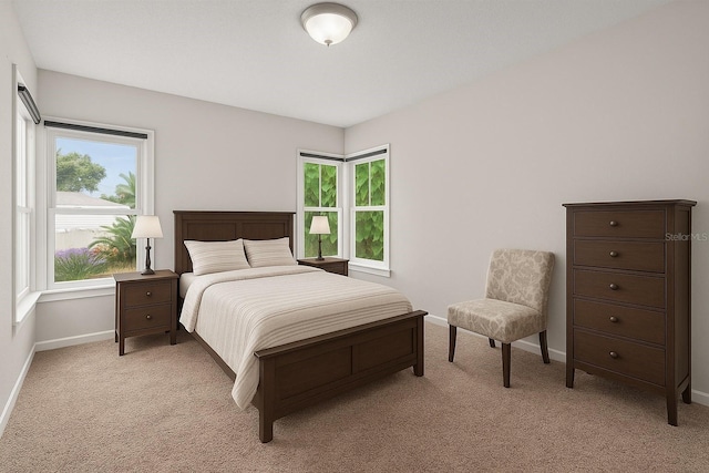 6489 30th St N, Saint Petersburg, FL 33702 - bedroom with baseboards, multiple windows, and light carpet