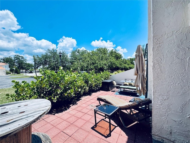 4360 Outrigger Ln, Tampa, FL 33615 - view of patio