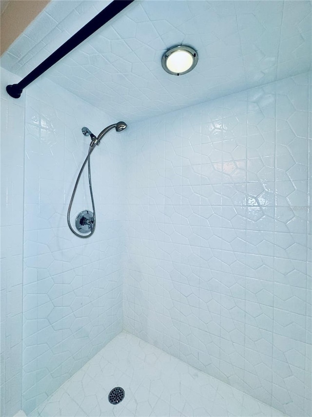4360 Outrigger Ln, Tampa, FL 33615 - bathroom with tiled shower