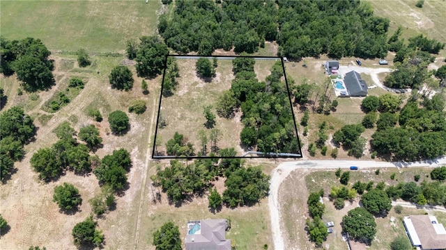 9630 Nelson Rd, Dade City, FL 33525 - photo 4