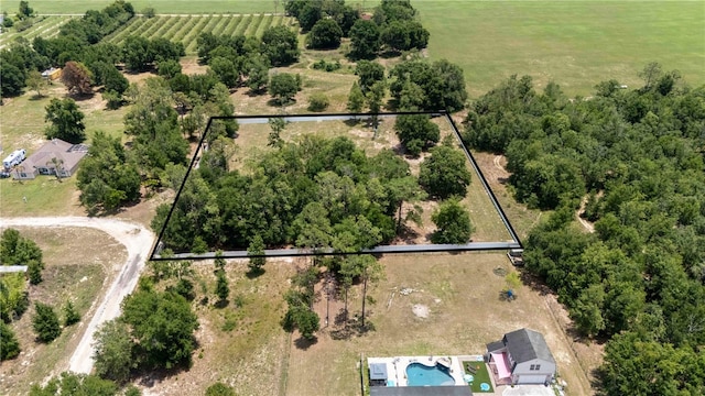 9630 Nelson Rd, Dade City, FL 33525 - photo 6