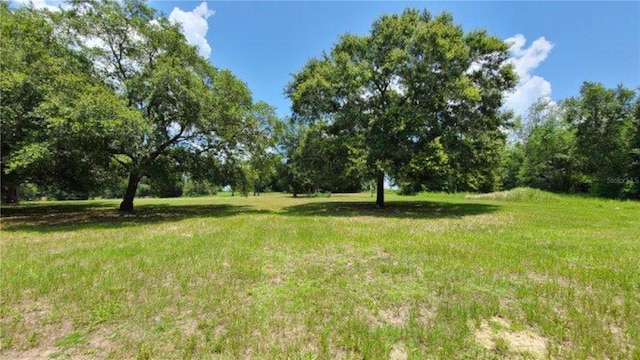 9630 Nelson Rd, Dade City, FL 33525 - photo 7