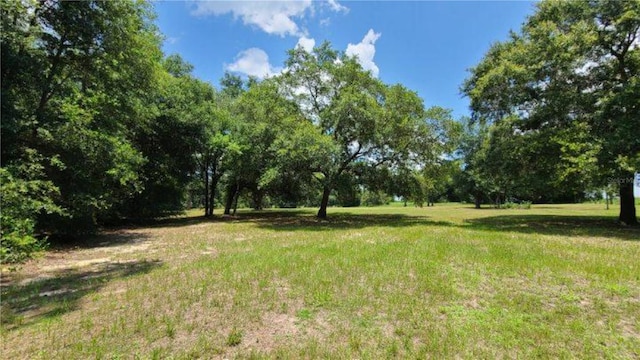 9630 Nelson Rd, Dade City, FL 33525 - photo 8