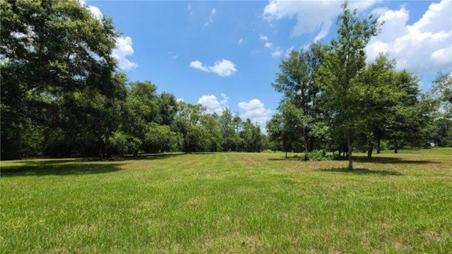 9630 Nelson Rd, Dade City, FL 33525 - photo 10