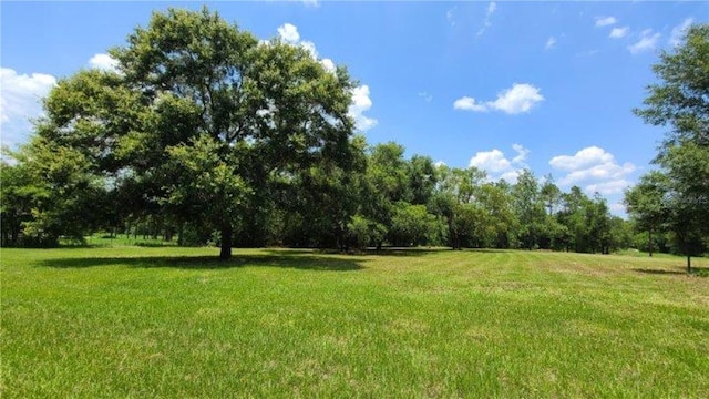 9630 Nelson Rd, Dade City, FL 33525 - photo 11