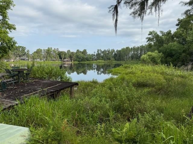 19350 N Dale Mabry Hwy, Lutz, FL 33548 - photo 2