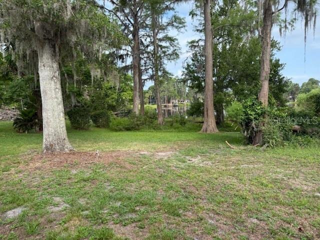 19350 N Dale Mabry Hwy, Lutz, FL 33548 - photo 4