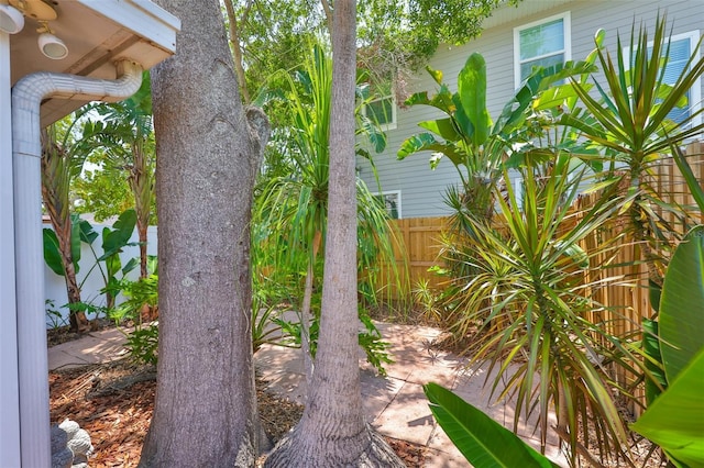 3053 S Concordia Ave Unit A, Tampa, FL 33629 - view of yard