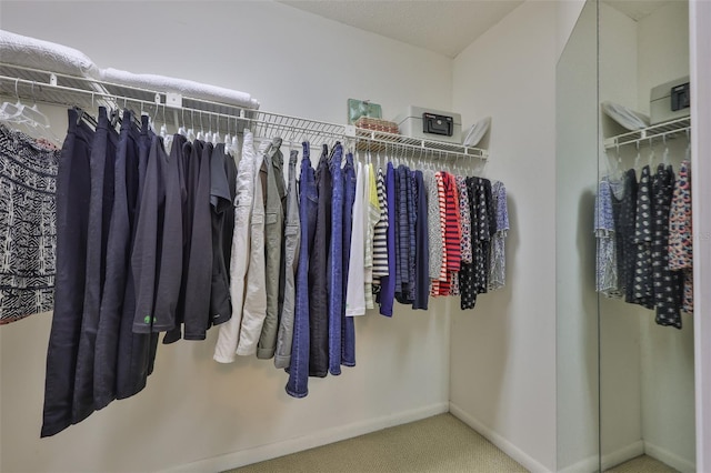3053 S Concordia Ave Unit A, Tampa, FL 33629 - spacious closet with carpet flooring