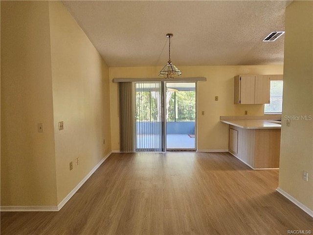 870 S Thyme Pt, Homosassa, FL 34448 - unfurnished dining area featuring a textured ceiling, light wood-style flooring, healthy amount of natural light, and baseboards