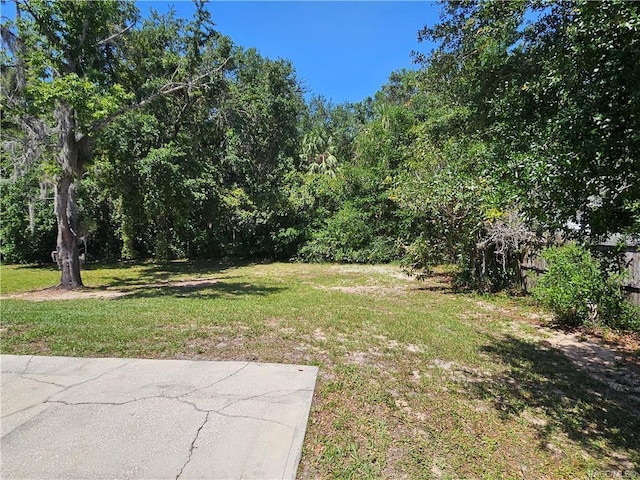 870 S Thyme Pt, Homosassa, FL 34448 - view of green lawn