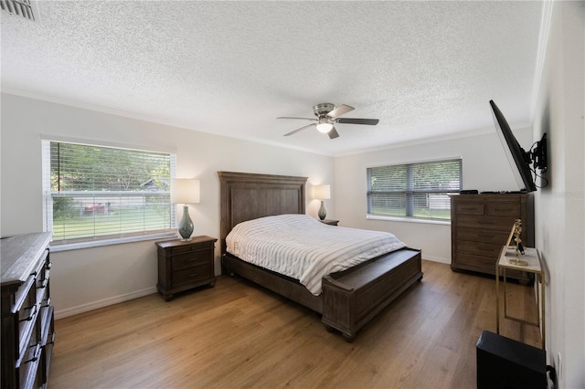 5933 Carina Trce, Wesley Chapel, FL 33545 - photo 21