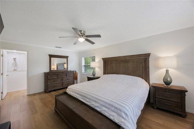 5933 Carina Trce, Wesley Chapel, FL 33545 - photo 22