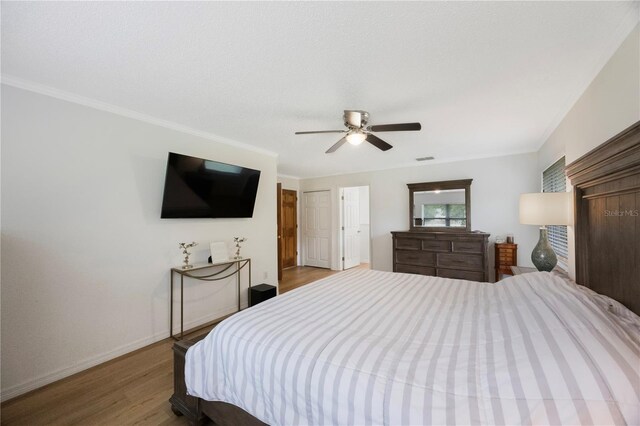 5933 Carina Trce, Wesley Chapel, FL 33545 - photo 23