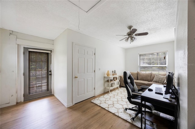 5933 Carina Trce, Wesley Chapel, FL 33545 - photo 32