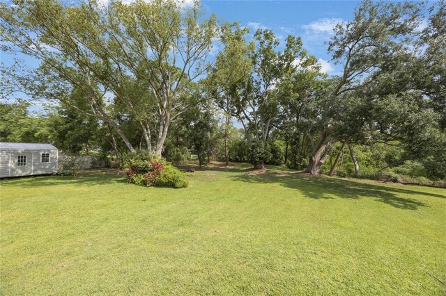 5933 Carina Trce, Wesley Chapel, FL 33545 - photo 38